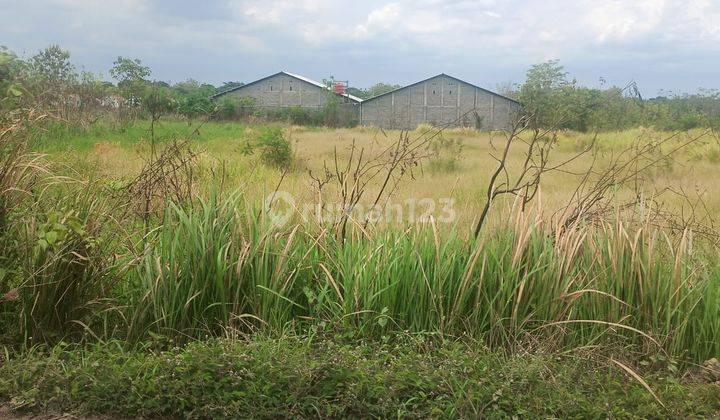 Tanah di Pedan, Klaten, Klaten SHM 6.300 m² 2