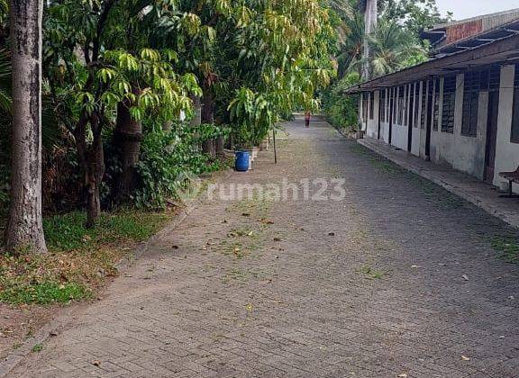 Gudang Kapuk Kamal Lokasi Super Strategis  2