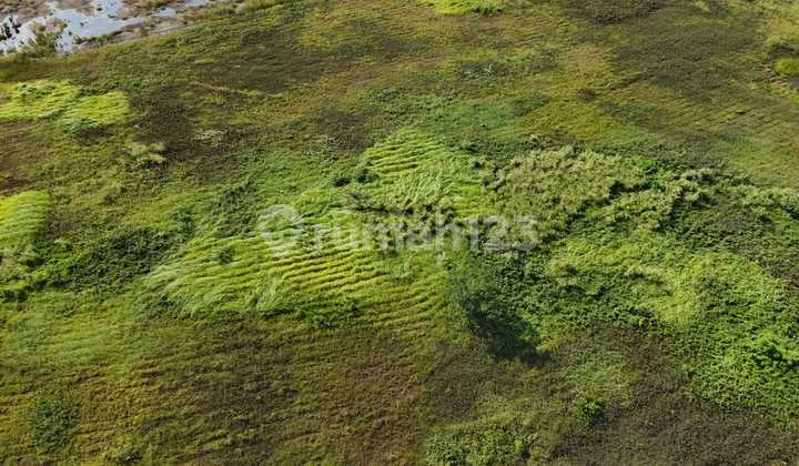 Dijual Kavling Pik 2 Bebas Banjir Lokasi Strategis