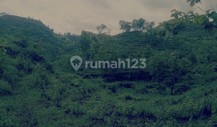 Tanah Pinggir Jalan Raya Gunung Kidul Jogja