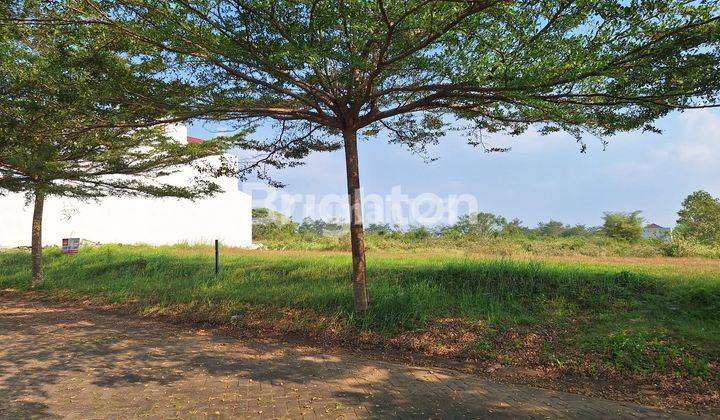 TANAH ARAYA DEKAT KAMPUS BINUS MALANG 1