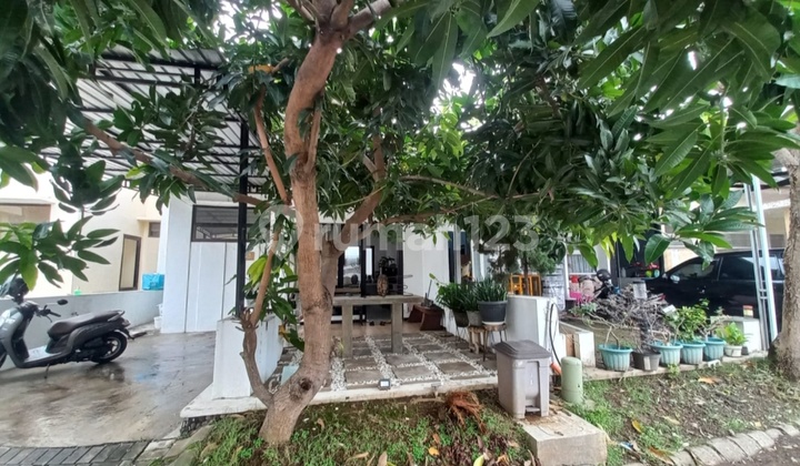 Dijual Rumah Murah Di Taman Tiara Regency Sidoarjo Dijual Rumah Murah Di Taman Tiara Regency Sidoarjo