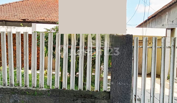 JUAL RUMAH JL. DIPONEGORO, JEMBER 1