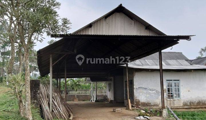 Tanah Gendro Nongkojajar, Pasuruan 6