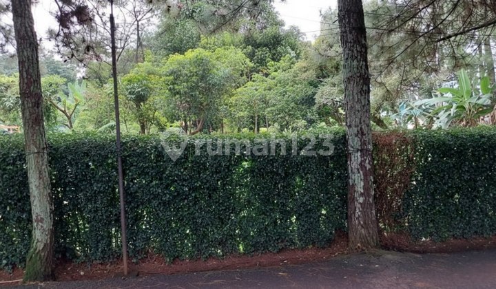 Tanah Murah di Komplek Unpad Cigadung Bandung Tanah Murah di Komplek Unpad Cigadung Bandung