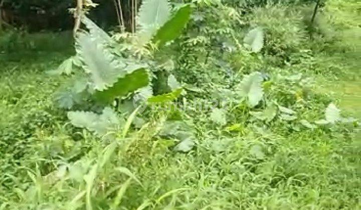 Tanah Darat Siap Bangun, untuk Perumahan di Cikampek, Karawang 6