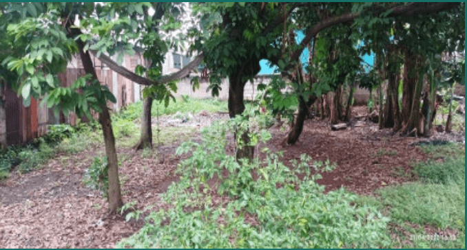 Tanah Darat pinggir jalan raya di Cikunir, Bekasi 4