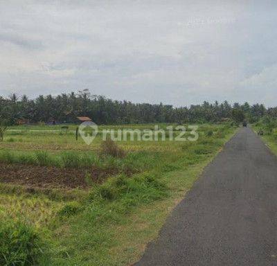 Tanah Kavling Syariah siap bangun di Sukawangi, Bekasi 4