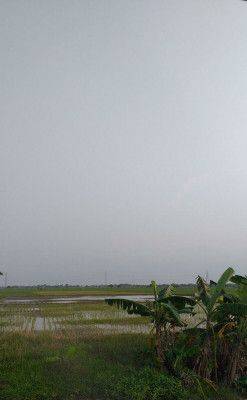Tanah Murah Untuk Investasi di Sukatani, Cikarang 4