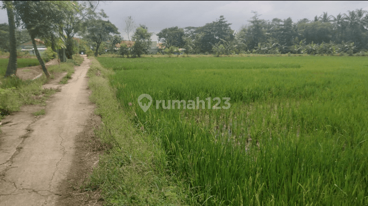 Tanah Termurah dan Strategis di Sukawangi, Tambelang, Bekasi 1