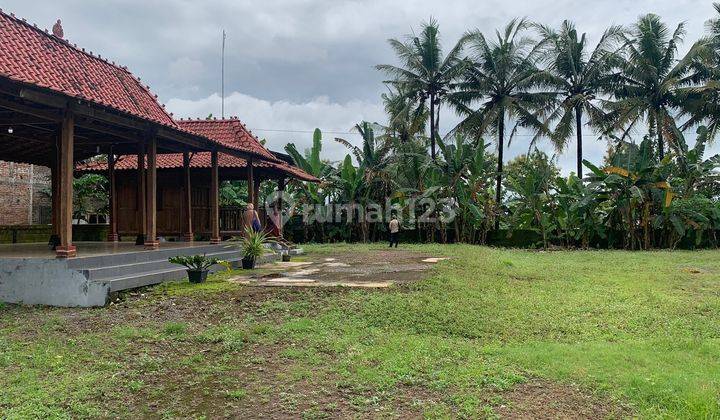 Tanah Pekarangan di Jl. Raya Wates, Kulonprogo, Yogyakarta, Shm. 4