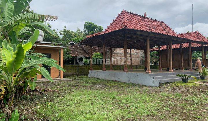 Tanah Pekarangan, 5 Menit Pasar Sentolo Baru, Lt 1.709 M2 1
