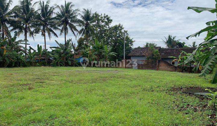 Tanah Pekarangan, 5 Menit Pasar Sentolo Baru, Lt 1.709 M2 4