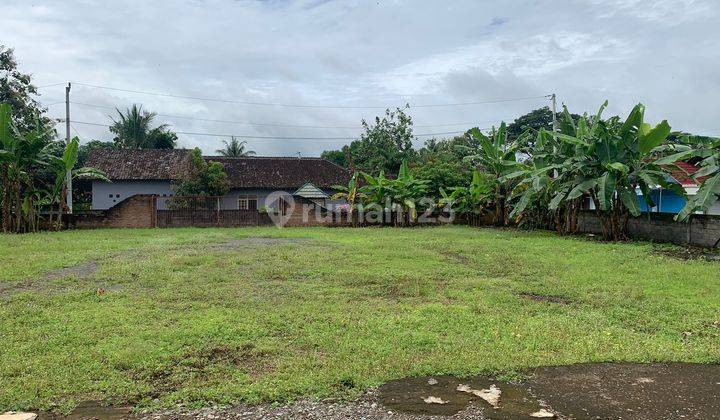 Tanah Pekarangan, 5 Menit Pasar Sentolo Baru, Lt 1.709 M2 5