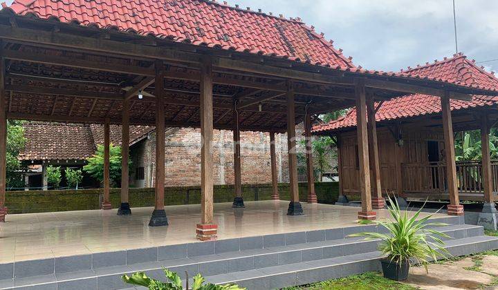 Tanah Pekarangan, 5 Menit Pasar Sentolo Baru, Lt 1.709 M2 6