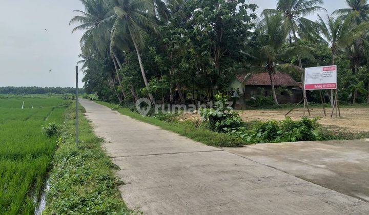 Tanah Kulon Progo, Dekat Bandara, Siap Bangun, 1,5jt m 1
