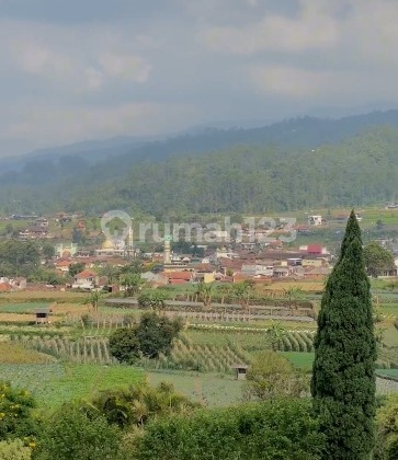 Lahan Mainroad Ciwidey 1.5 Ha - Cocok Resort, Resto & Wisata!