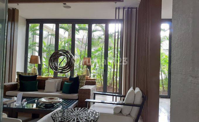 Apartemen Bernuansa Resort Dan Pet Friendly Di Setiabudi Jakarta Selatan 1