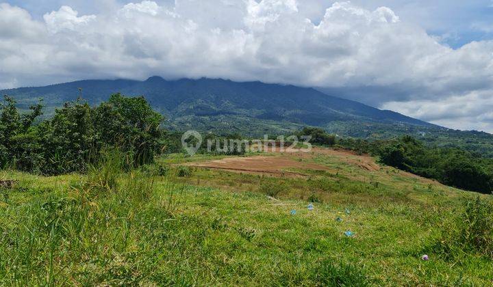 Tanah 7 Hektar Cocok untuk Perumahan di Cicurug Sukabumi 3