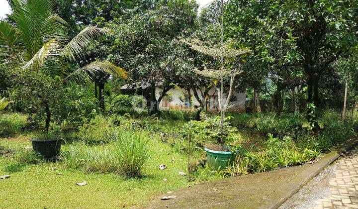 Tanah Komersil Pinggir Jalan di Sentul Luas 4600 Cijayanti Bogor 4