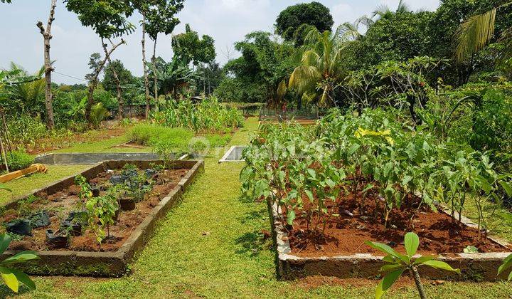 Tanah Komersil Pinggir Jalan di Sentul Luas 4600 Cijayanti Bogor 5