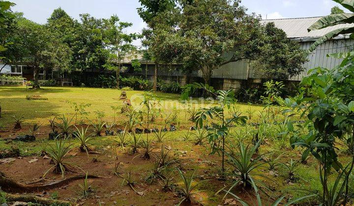 Tanah Komersil Pinggir Jalan di Sentul Luas 4600 Cijayanti Bogor 6