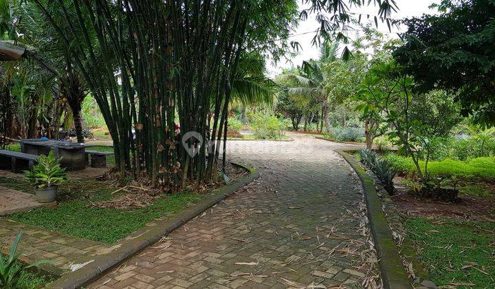 Tanah Komersil Pinggir Jalan di Sentul Luas 4600 Cijayanti Bogor 10
