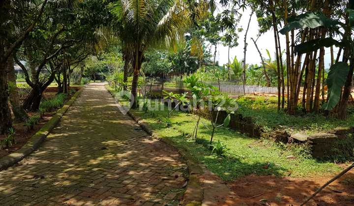 Tanah Komersil Pinggir Jalan di Sentul Luas 4600 Cijayanti Bogor 18
