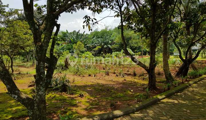 Tanah Komersil Pinggir Jalan di Sentul Luas 4600 Cijayanti Bogor 19