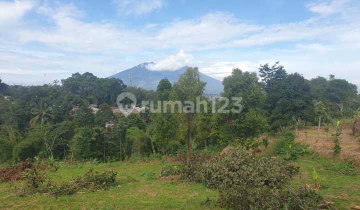 Lahan Tanah Luas 2856m View Gunung Salak di Megamendung Bogor Lahan Tanah Luas 2856m View Gunung Salak di Megamendung Bogor