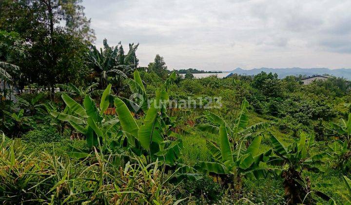 Tanah Parung Panjang Murah Luas 1.6HA SHM Parung Panjang Bogor 2