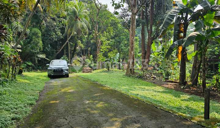 Tanah Luas 10.000 m² Strategis Cocok Untuk Usaha di Gadog, Bogor