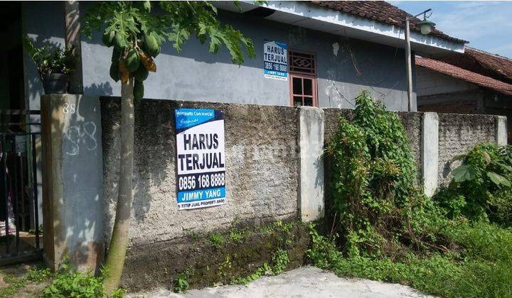 Rumah Murah Berkualitas di Cipocok Jaya, Serang Banten 1