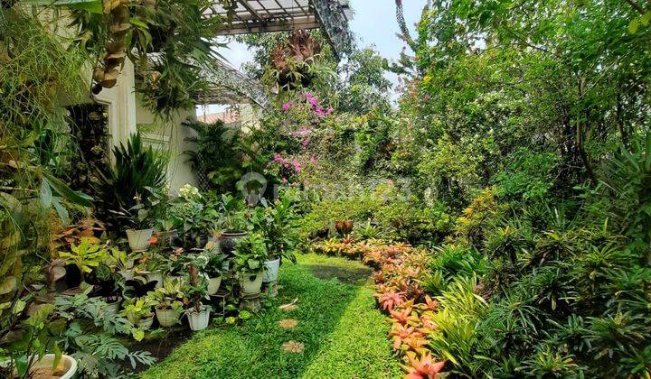 Rumah Asri Tropical Garden Di Radio Dalam Kebayoran Baru  2