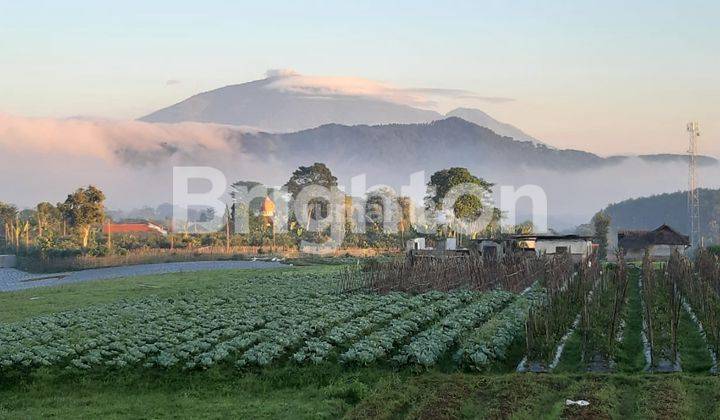 TANAH DAN BANGUNAN SUASANA SEJUK DAN ASRI 1