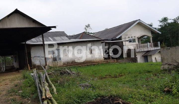 TANAH DAN BANGUNAN SUASANA SEJUK DAN ASRI 2