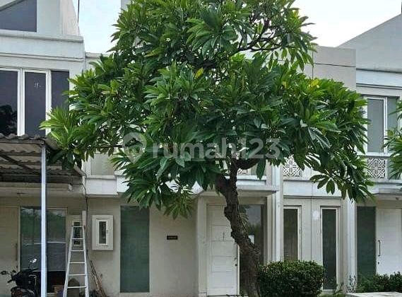 Lelang Grand Pakuwon Murah Dan 99% Pasti Menang Luas 6x12 Bagus