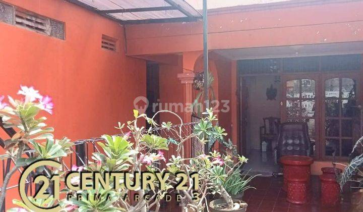 Rumah Tinggal Dan Usaha Kontrakan 6659   1