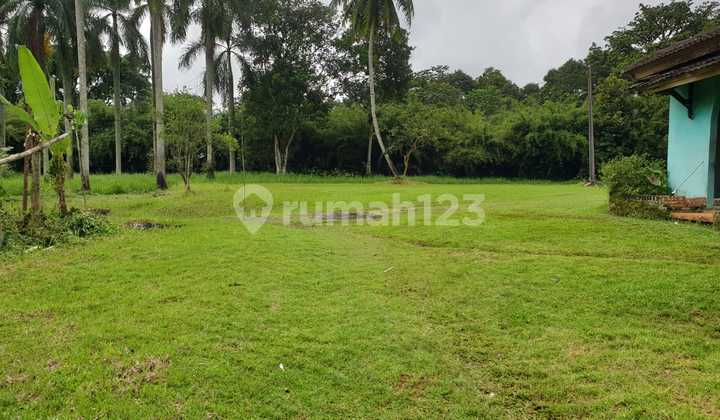 Jual Cepat Lahan Pinggir Jalan Raya Sukaraja Pasir Muncang Caringin Bogor Jabar