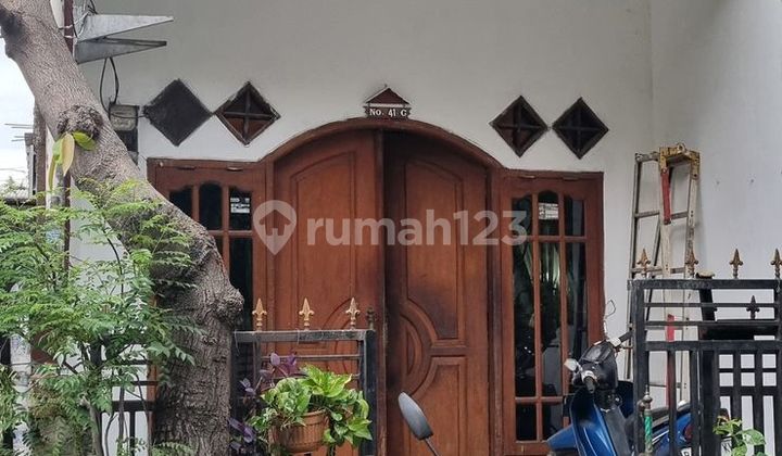 Disewakan Rumah 2lantai Sederhana Di Sunter Jaya Bebas Banjir Disewakan Rumah 2lantai Sederhana Di Sunter Jaya Bebas Banjir