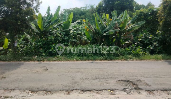 Tanah Jalan Raya Banteran Depan Bank Surya Yudha Cocok Untuk Klinik, Minimart, Perbankan Dll