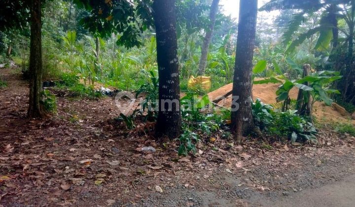 Tanah Cibereum 30 Meter Perum Puri Kencana Sumbang Bayumas