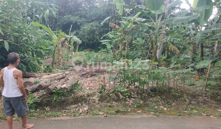 Tanah Banjarsari Wetan Rt.06/05 Sumbang Tembus Jalan Kradenan Raya