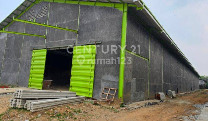 Gudang Baru Siap Tempatin Harga Menarik Bebas Banjir Dan Pungli 2