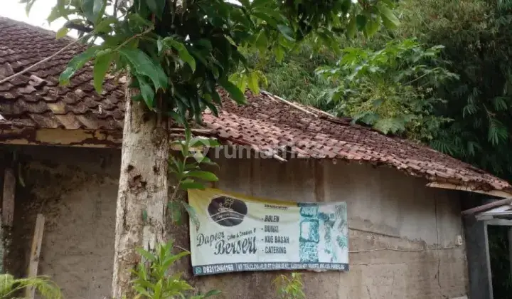 Jual Cepat Tanah Pinggir Jalan Raya Utama Pandeglang Rangkas 3