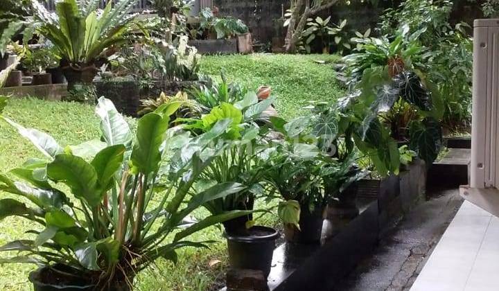 Rumah Dekat Jalan Tol Jl Pakuan Bogor Rumah Dekat Jalan Tol Jl Pakuan Bogor