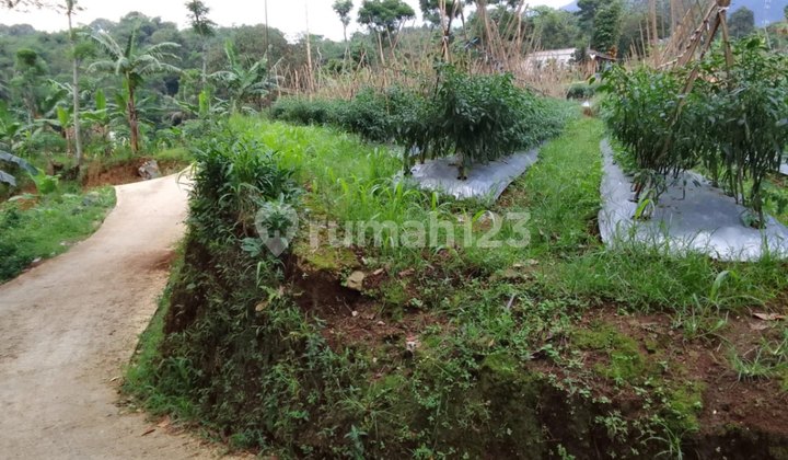 Land with Mount Salak View, Cipicung Village, Cijeruk District, Bogor Regency.