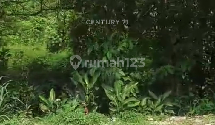 Land by the Road Near Inagro in Cibeuteung Udik, Ciseeng, Bogor