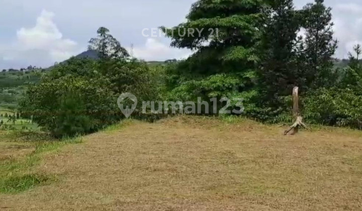 Kavling Pinggir Jalan Raya di Kp Nyalindung Sukaraja Bogor