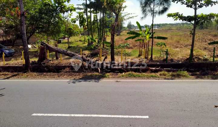 Tanah Ds Mekarsari Kab Cirebun (Losari) Tanah Ds Mekarsari Kab Cirebun (Losari)